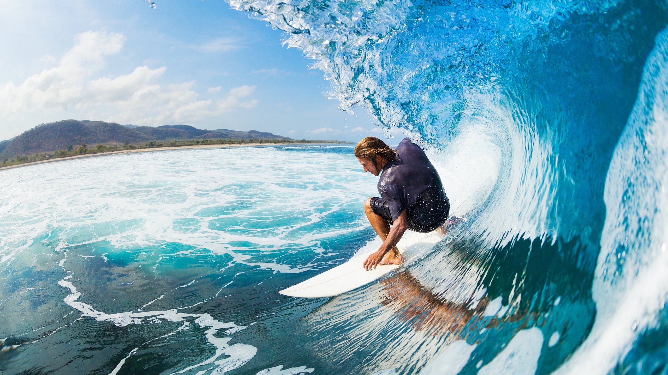 决赛焦点 阿莱克西蝶泳节奏惊艳，阿莱克西亚·阿西福特